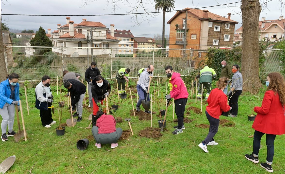 Plantación ciudadana en Santander