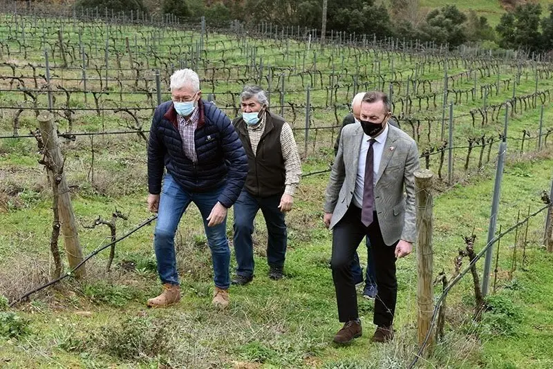 12:45.- Cabez&oacute;n de Li&eacute;bana
El consejero de Desarrollo Rural, Ganader&iacute;a, Pesca, Alimentaci&oacute;n y Medio Ambiente, Guillermo Blanco, visita la f&aacute;brica de Picos de Cabariezo y, posteriormente, visita las obras de mejora de un camino rural en La Vega (Vega de Li&eacute;bana).
