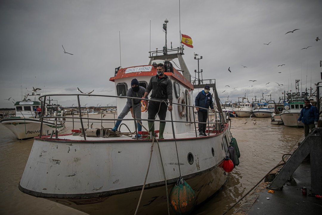 Archivo - Llegada de un barco pesquero de la lonja de la Cofradía de Pescadores de Sanlúcar de Barrameda 