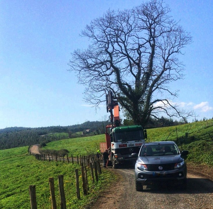 Reparación de caminos rurales en Hazas de Cesto