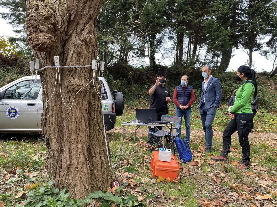 Archivo - El alcalde y el concejal de Medio Ambiente de Torrelavega comprueban los trabajos en el arbolado de 'El Patatal'. Archivo