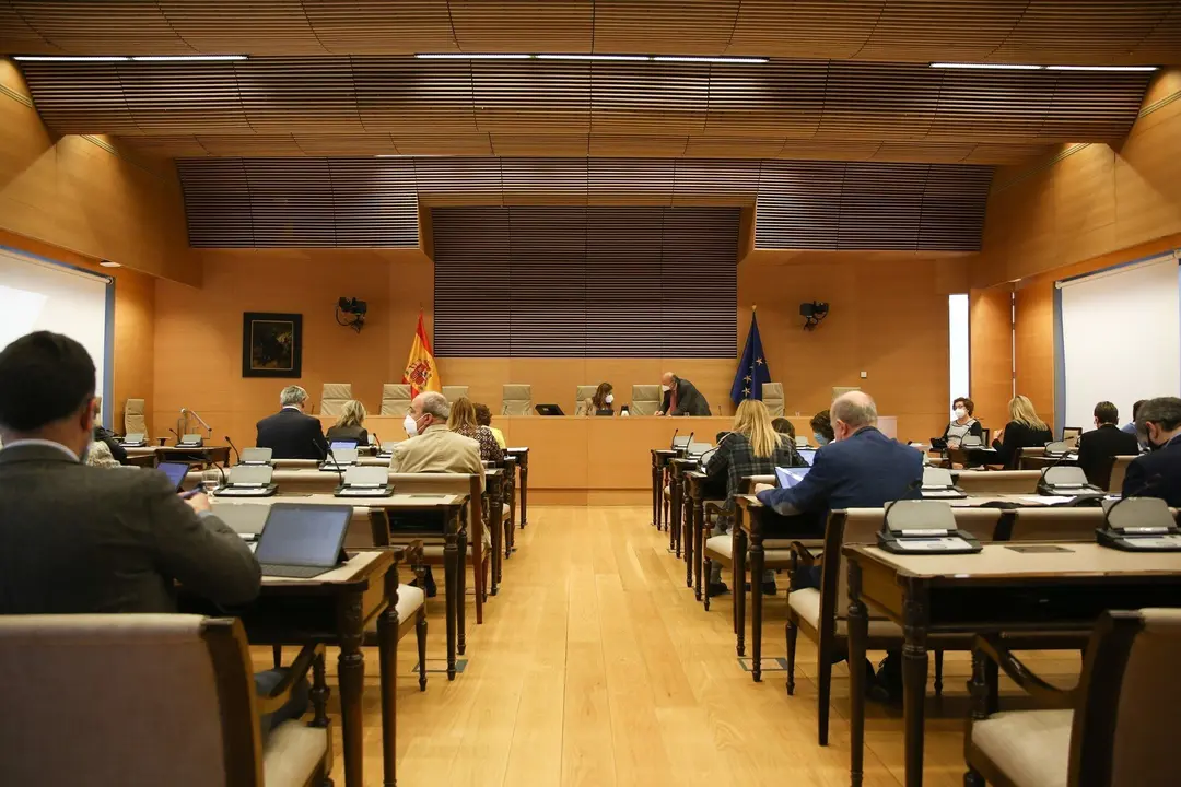 La presidenta de la Comisi&oacute;n de Sanidad, Rosa Mar&iacute;a Romero S&aacute;nchez (c), durante una Comisi&oacute;n de Sanidad y Consumo celebrada en el Congreso de los Diputados, Madrid, (Espa&ntilde;a), a 9 de marzo de 2021.
