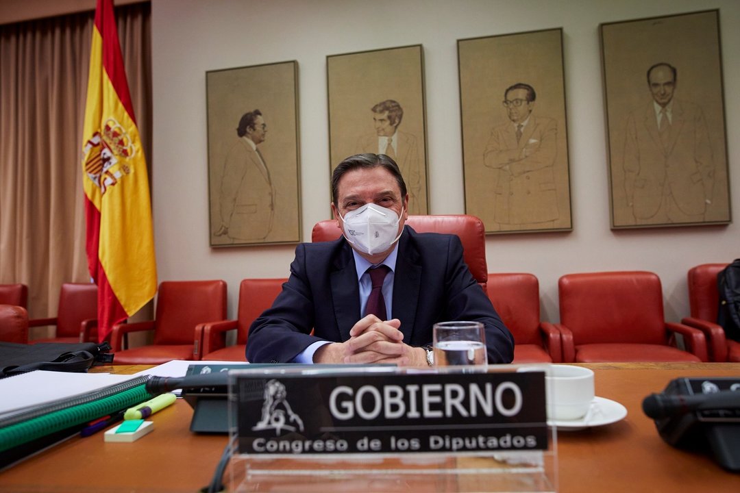 El Ministro de Agricultura, Pesca y Alimentación, Luis Planas, comparece en la comisión de su departamento en Sala Constitucional del Congreso de los Diputados, en Madrid 