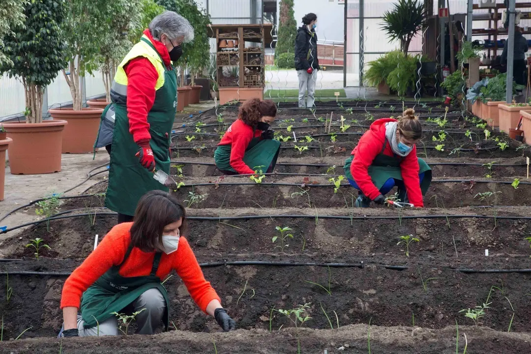Cursos en Camargo sobre cultivos naturales y ecol&oacute;gicos