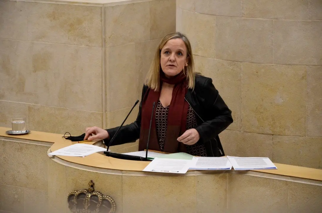 La diputada del PP en el Parlamento de Cantabria Isabel Urrutia