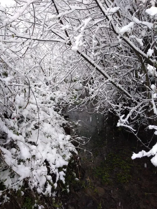 Nieve en Euskadi (archivo)