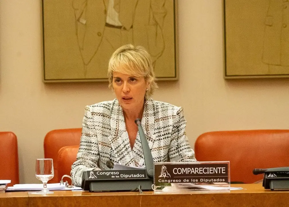 La secretaria de Estado de Digitalizaci&oacute;n e Inteligencia Artificial, Carme Artigas, durante su comparecencia en la Comisi&oacute;n de Asuntos Econ&oacute;micos y Transformaci&oacute;n Digita