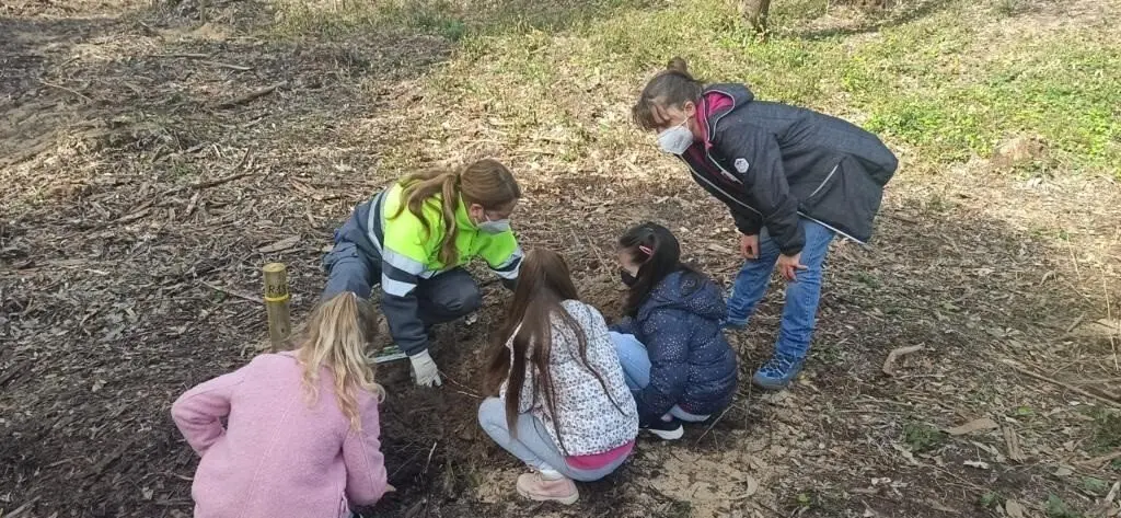 Alumnos del Colegio Palacio de Noja plantan &aacute;rboles