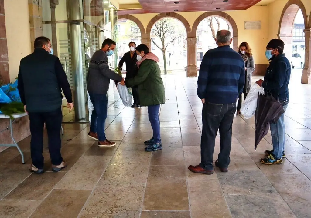 Reparto de &aacute;rboles en Comillas