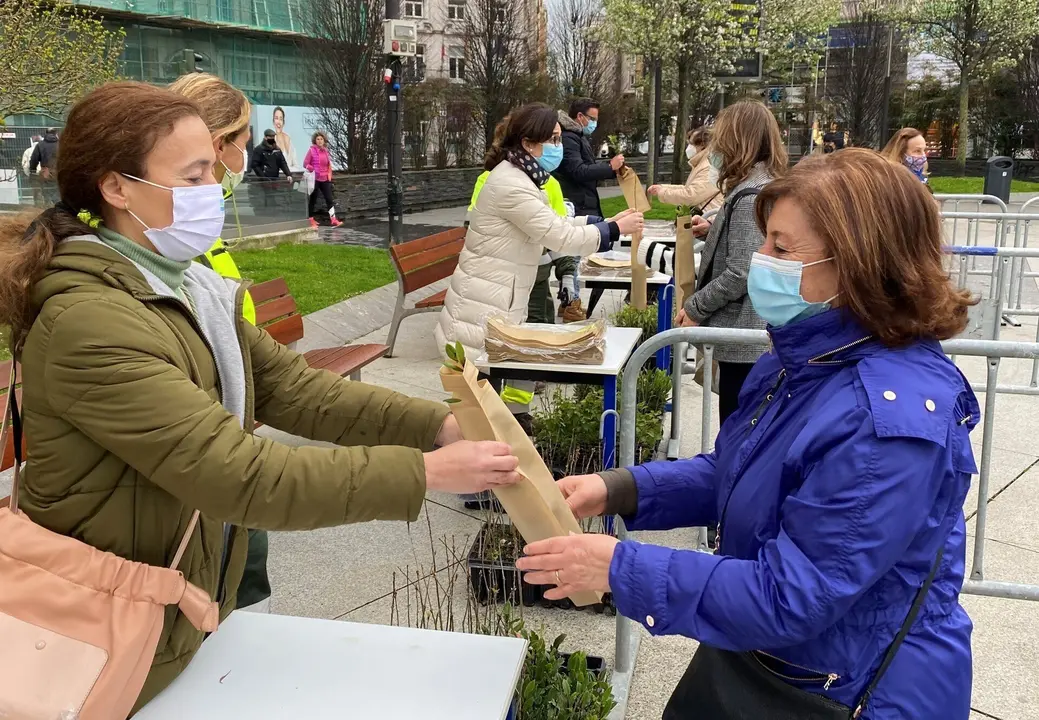 Reparto de &aacute;rboles