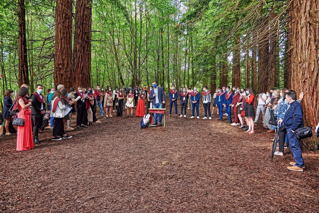 Archivo - Graduaci&oacute;n alumnos Bachiller del IES Foramontanos en el Bosque de Secuoyas de Cabez&oacute;n. Archivo
