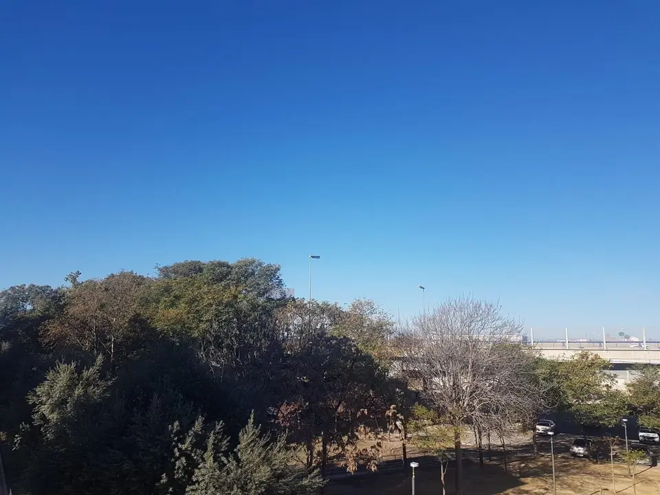 Jornada soleada en Murcia