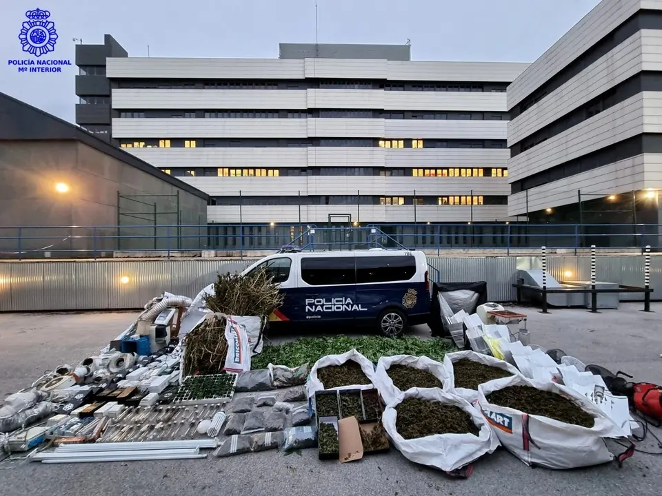 La marihuana y otros efectos intervenidos en la operaci&oacute;n 'Geranio'