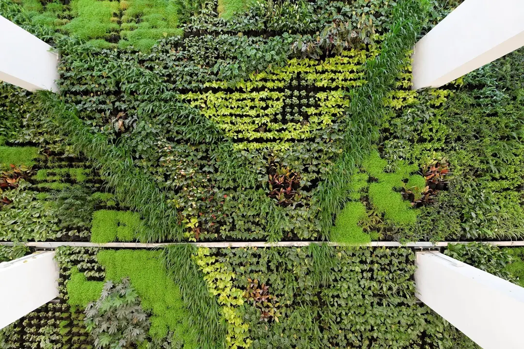 Archivo - Jard&iacute;n vertical del centro c&iacute;vico Tabacalera