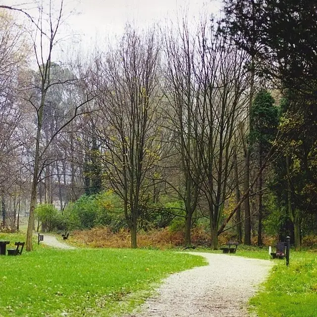 Archivo - Parque de La Viesca