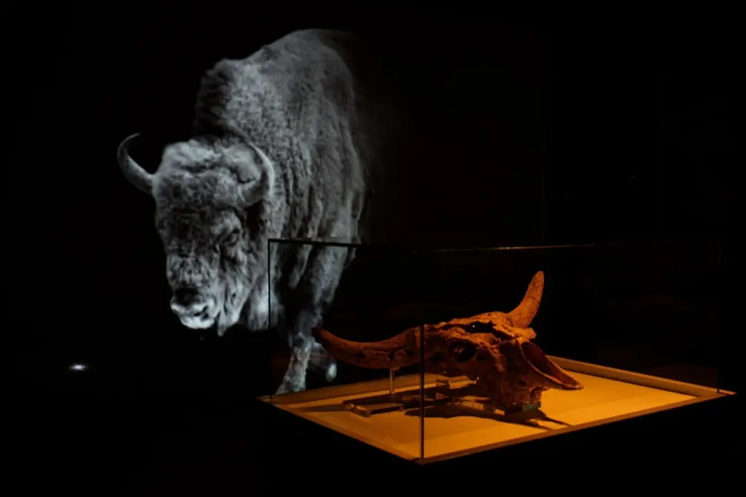 Montaje 'Kiputz' en el Museo de Altamira