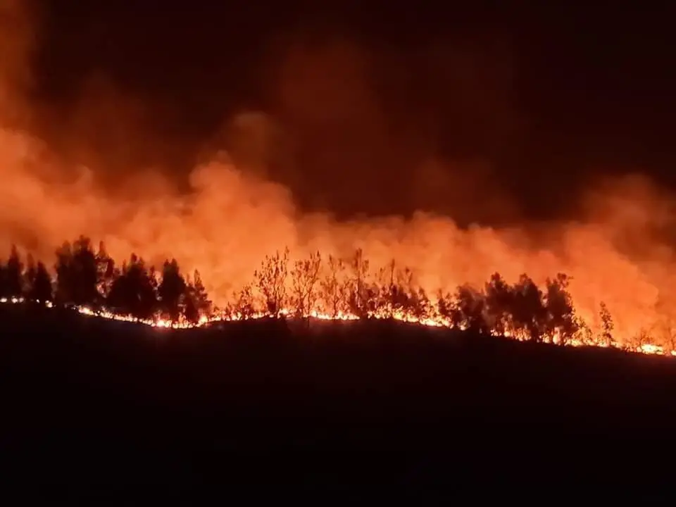 168130105_10159393401290663_1616871266411316785_n