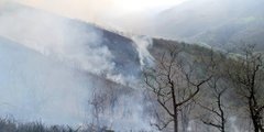 Incendio forestal en Cantabria. Archivo