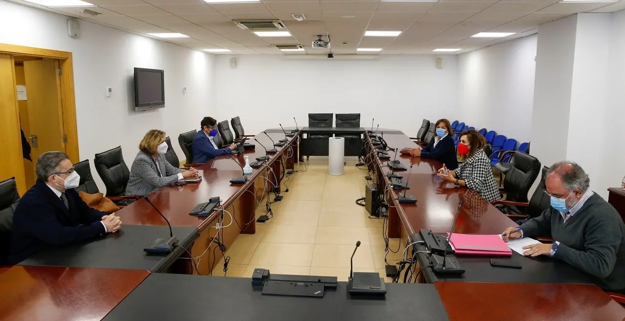 La consejera de Empleo y Pol&iacute;ticas Sociales, Ana Bel&eacute;n &Aacute;lvarez, se re&uacute;ne con representanbtes de las entidades del sector de la dependencia y discapacidad de Cantabria