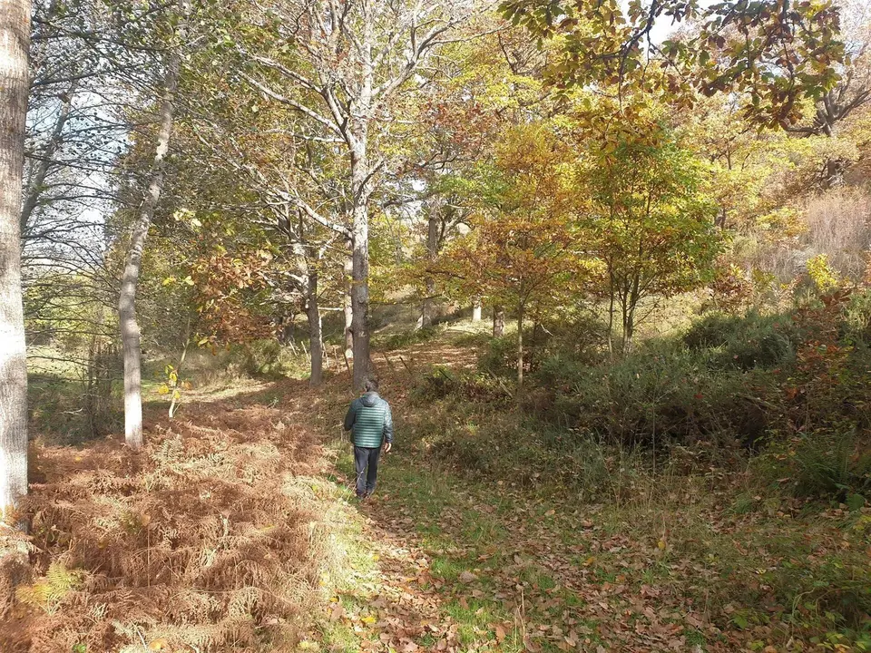 Sendero en Cantabria