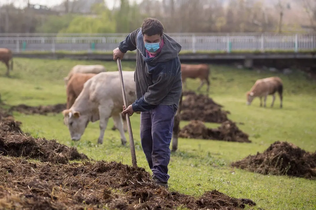 Ganadero extiende esti&eacute;rcol en la finca donde pastan sus vacas del barrio de A Tolda, en Lugo, Galicia (Espa&ntilde;a) 