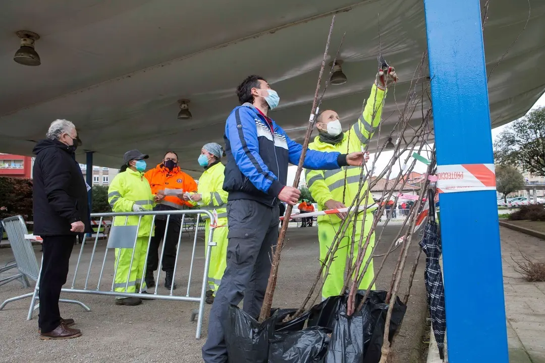 Archivo - Campa&ntilde;a de Repoblaci&oacute;n Forestal.- Archivo