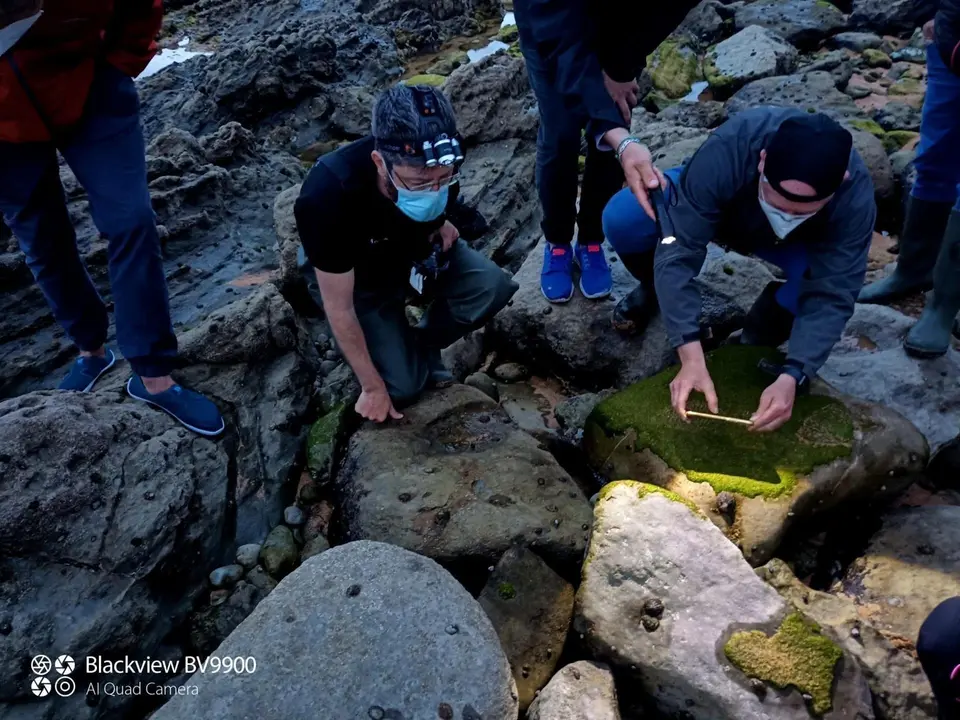 'Safari Mareal Nocturno En Tagle'