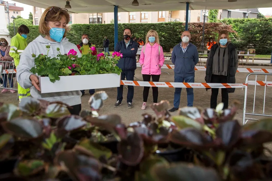 Reparto de flores y plantas arom&aacute;ticas