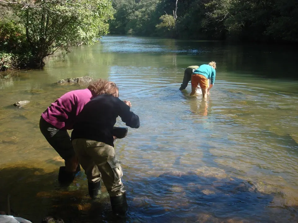 Archivo - Diagn&oacute;stico Del Estado De Los R&iacute;os.- Archivo
