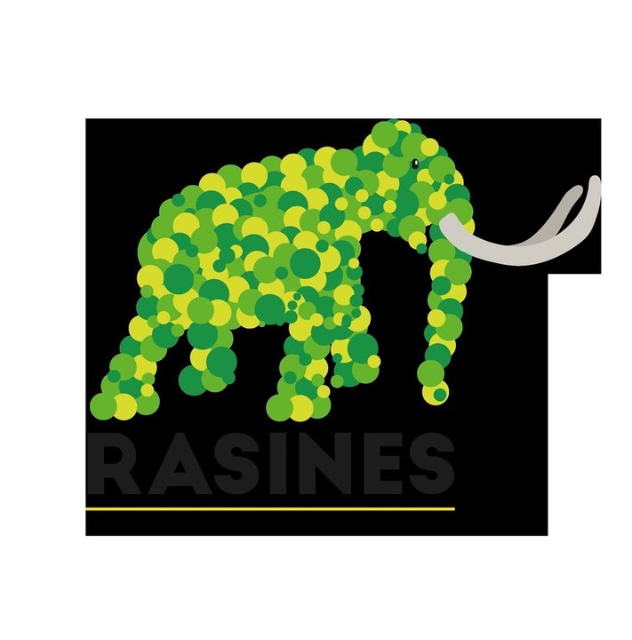 Nueva imagen de marca de Rasines