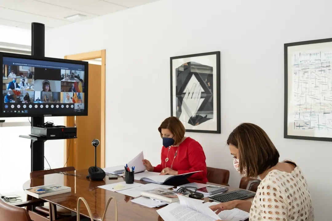 La consejera de Presidencia, Paula Fern&aacute;ndez,  en la Conferencia Sectorial sobre el Reto Demogr&aacute;fico
