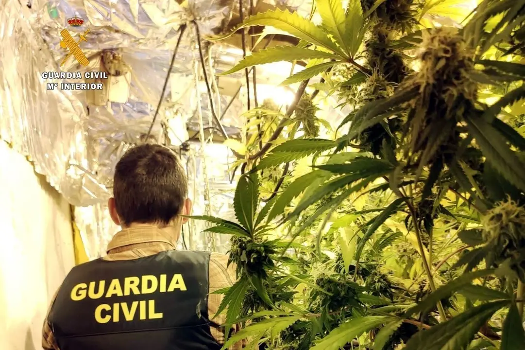 Operaci&oacute;n Claridad