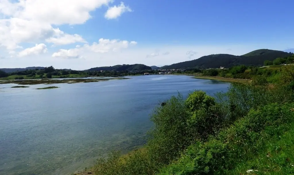 Marisma de Argo&ntilde;os