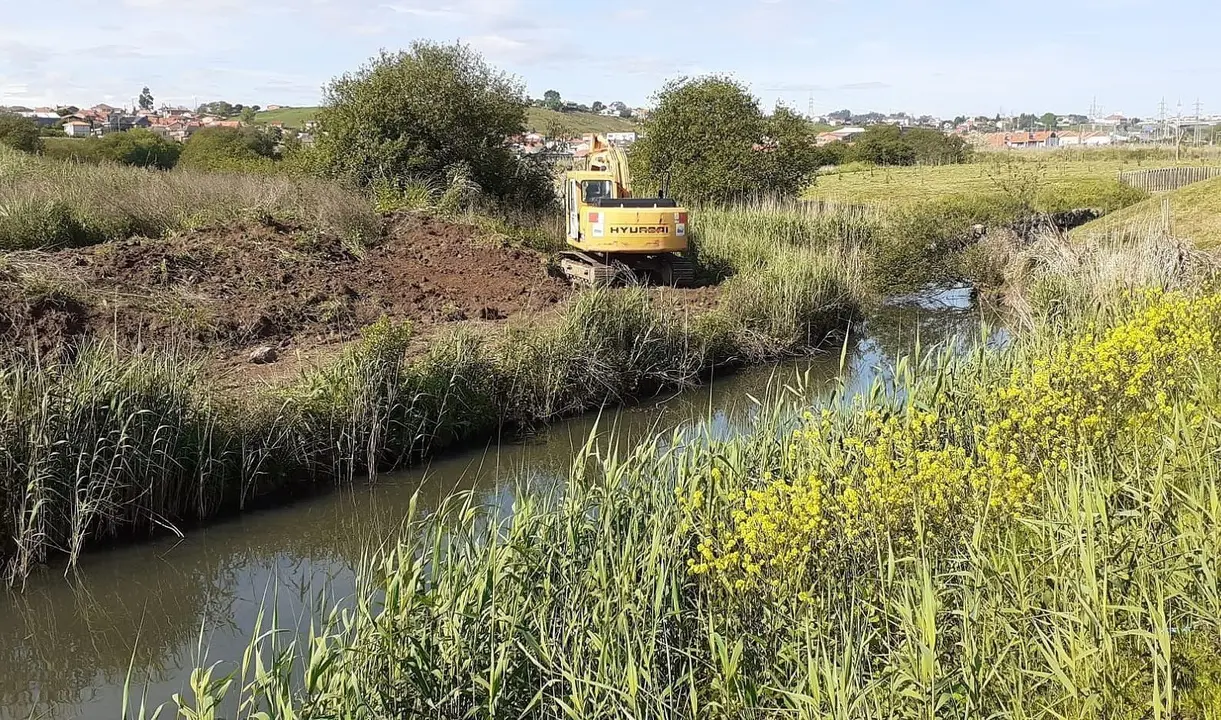 Zona de marisma del barrio Las Presas