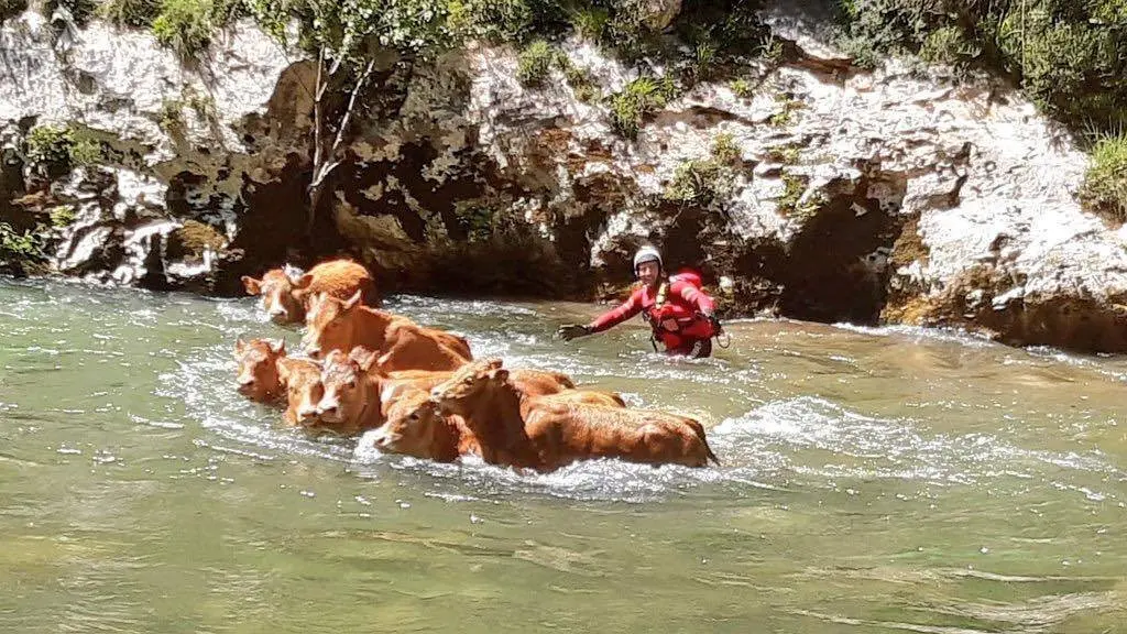 187502857_10159506845835663_1106575958057468756_n