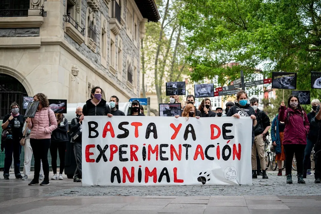 Varias personas sujetan una pancarta en la que se lee: "Basta ya de experimentaci&oacute;n animal" en una manifestaci&oacute;n por la liberaci&oacute;n de los animales de Laboratorios Vivotecnia, en una imagen de archivo