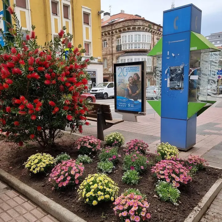 Plantas de temporada en Torrelavega