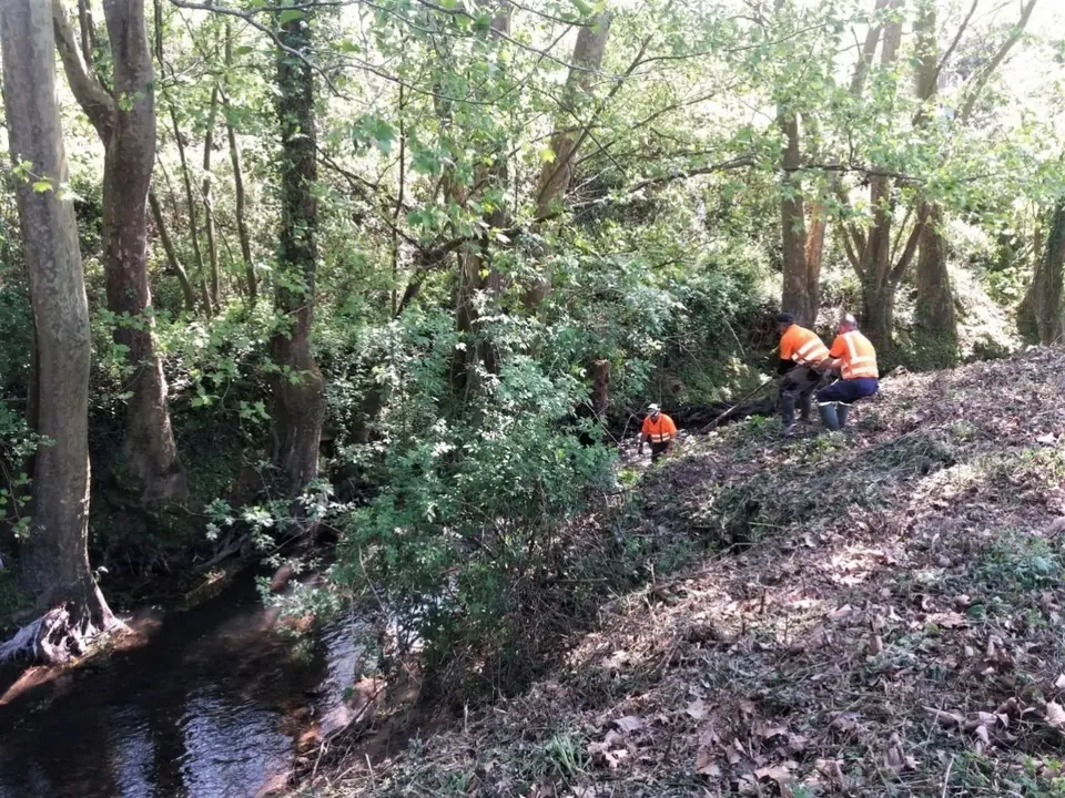 Trabajos de mantenimiento en el r&iacute;o P&aacute;manes