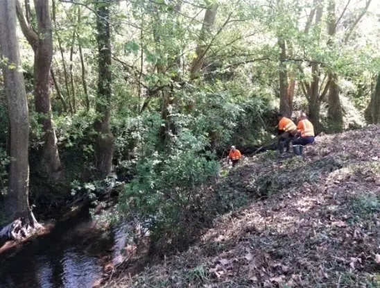 Trabajos de mantenimiento en tramos no urbanos del r&iacute;io P&aacute;manes