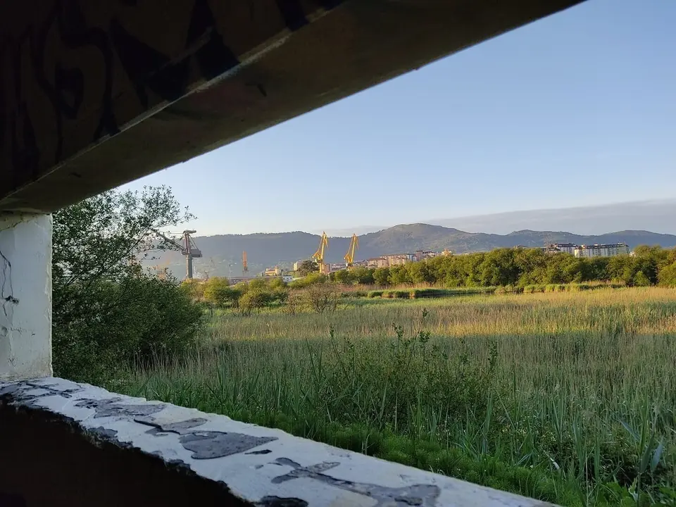 Marismas de Astillero