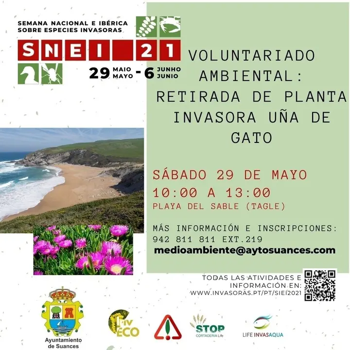 Cartel de la jornada de voluntariado contra la u&ntilde;a de gato