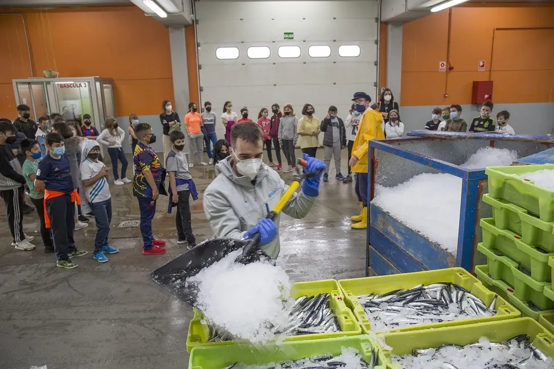 Archivo - Actividad de la Feria de las Artes Fijas de Santo&ntilde;a