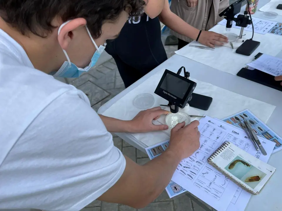 Alumnos de un colegio