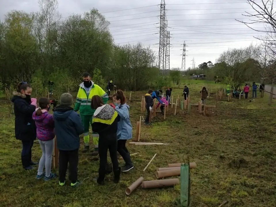 Plantaciones escolares en Astillero