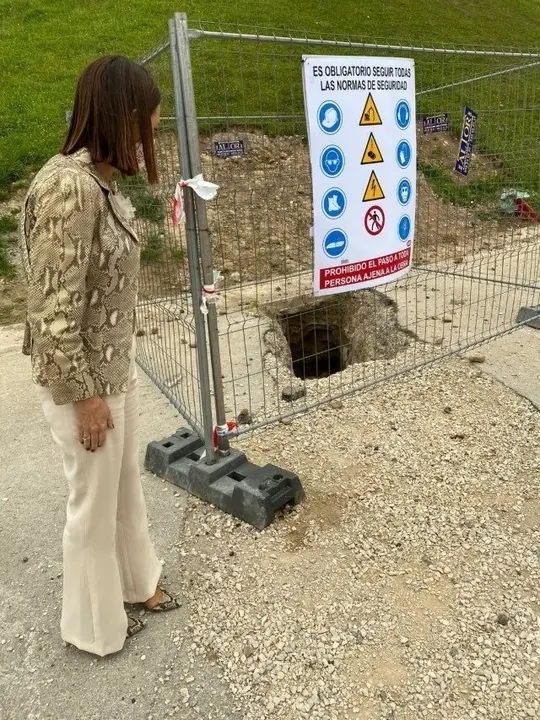 La portavoz  'popular' en el Ayuntamiento de Torrelavega, Marta Fern&aacute;ndez Teijeiro.