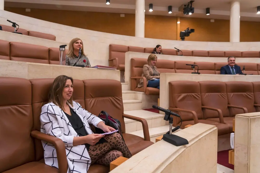 Archivo - La consejera de Econom&iacute;a y Hacienda del Gobierno regional, Mar&iacute;a S&aacute;nchez, en el Parlamento de Cantabria. Foto de archivo