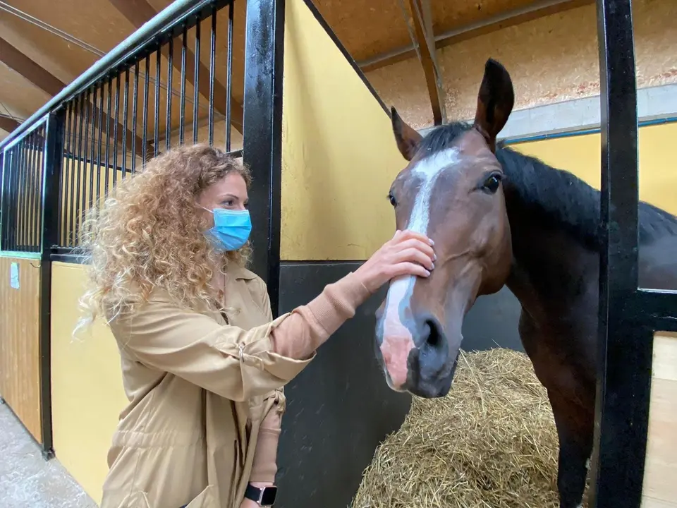 Qui&ntilde;ones en el centro militar de cr&iacute;a caballar de Ibio