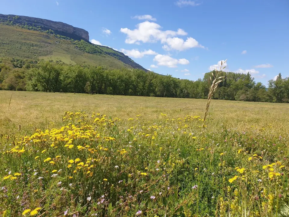 Primavera en el sur de Cantabria