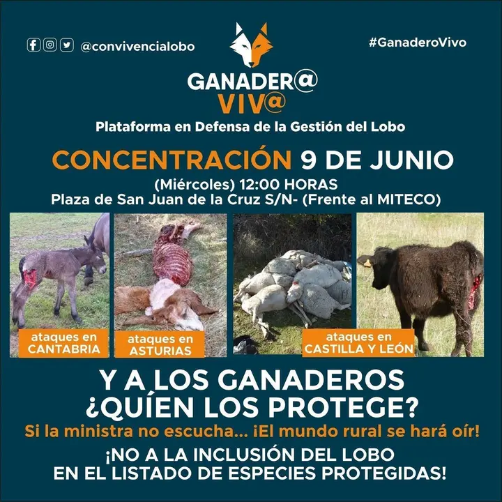 Cartel de la manifestaci&oacute;n contra la protecci&oacute;n del lobo del 9 de junio