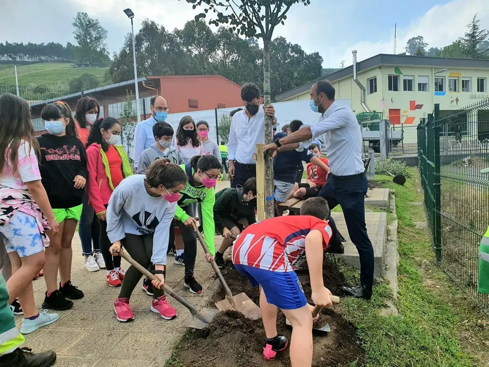 Plantaci&oacute;n en el coleigo Manuel Lia&ntilde;o